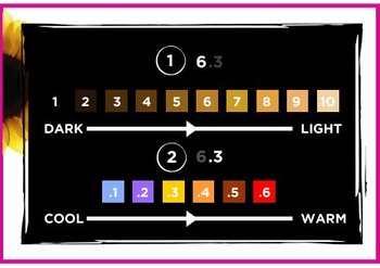 Pick your base shade: light to dark
