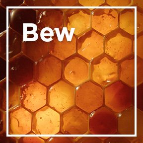Beeswax icon