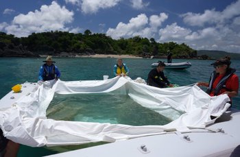 100KB CoralIVFProcess