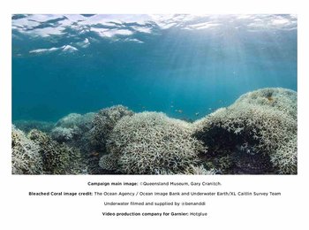 What is happening to the Great Barrier Reef? Made up of
