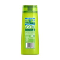 Garnier Fructis Shampoo